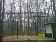 Каркасы